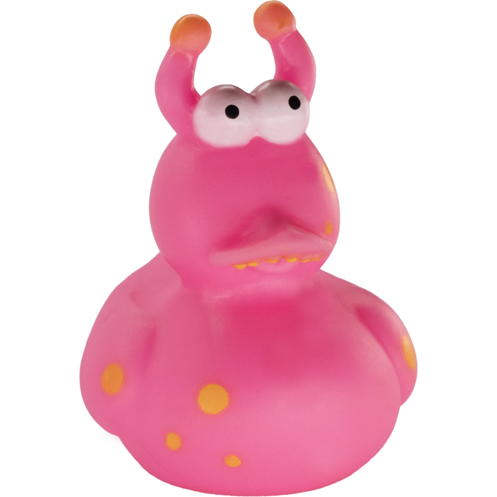 Kosmita Różowy