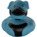 Mops Niebieski