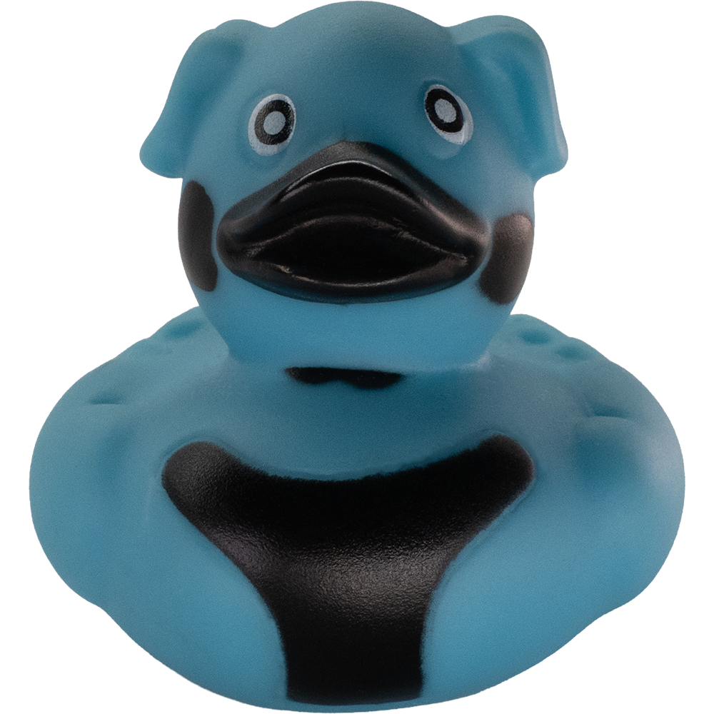 Mops Niebieski